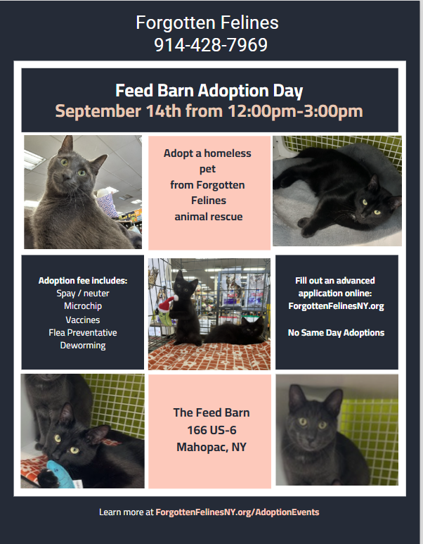 Feed Barn Adoption Day