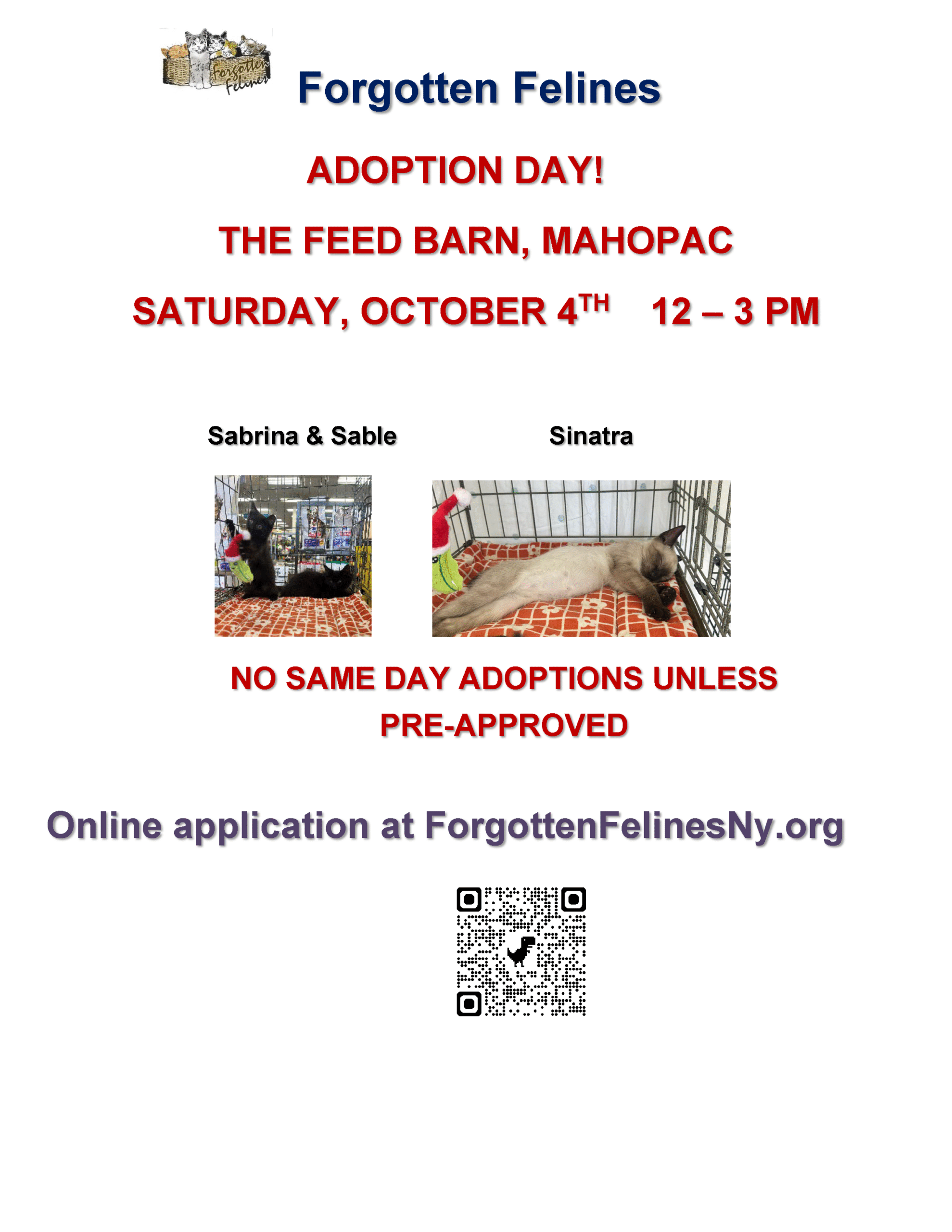 Adoption Day